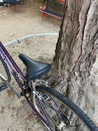 Bicicleta Condor morada