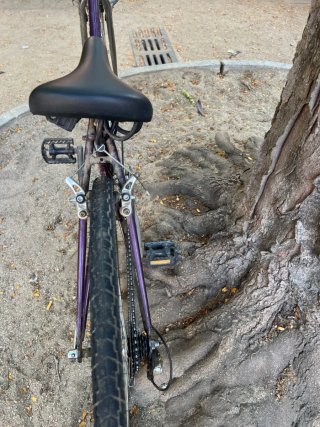 Bicicleta Condor morada