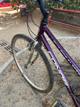 Bicicleta Condor morada