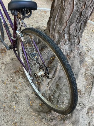 Bicicleta Condor morada