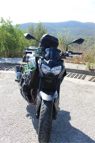 Kawasaki Z900 A2 LIMITADA 2024 | Givi + puños |