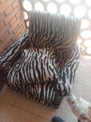 Sofá de tela con estampado cebra
