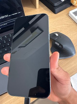 iPhone 13 Pro Max 512Gv