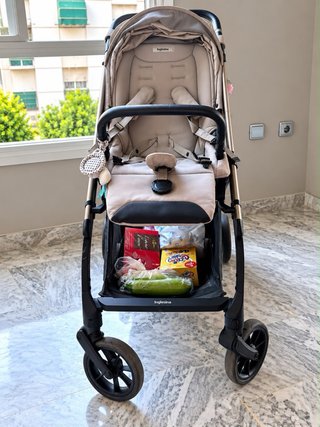 Carrito Inglesina Electa 2025