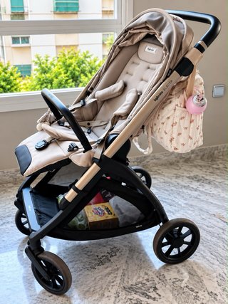 Carrito Inglesina Electa 2025