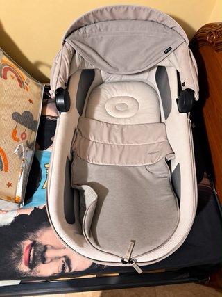 Carrito Inglesina Electa 2025