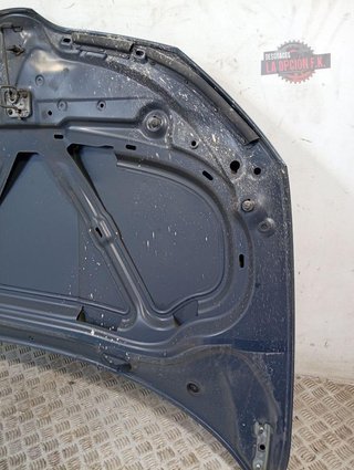CAPO Skoda Fabia (NJ3)(08.2014->)