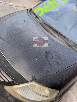 CAPO Citroen C3 (2002->)