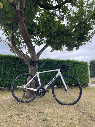 Bicicleta Carretera Carbono Giant