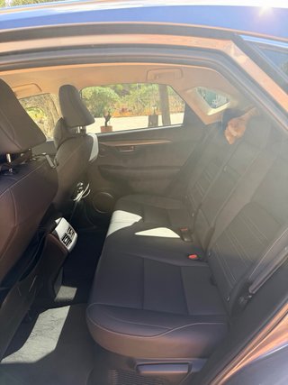 Lexus NX 2021