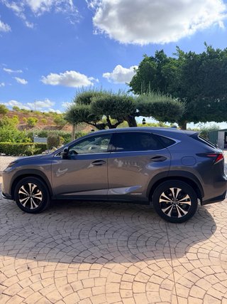 Lexus NX 2021