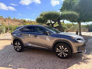 Lexus NX 2021