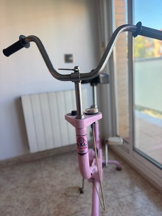 Bicicleta Estática Vintage Rosa