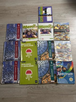 Lote Libros ESO: Lengua, Matemáticas, Geografía