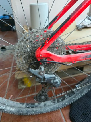 Orbea Alma Roja