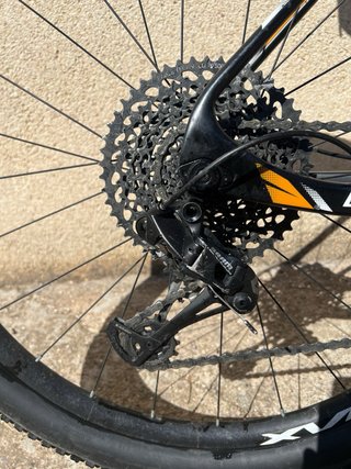 Berria Bravo 9 Carbono 29 2019