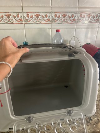 Transportín para mascotas gris y transparente