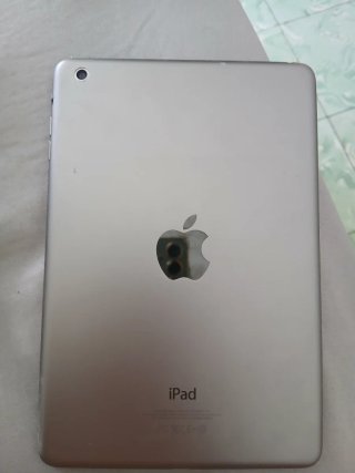 Apple iPad Plata