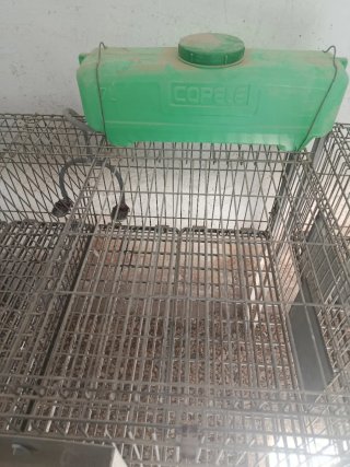 Jaula para conejos COPELE