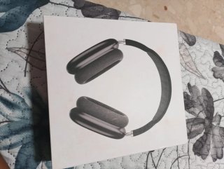 Auriculares Negros y Plateados