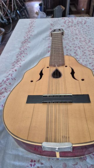 Bandurria  laúd con su funda