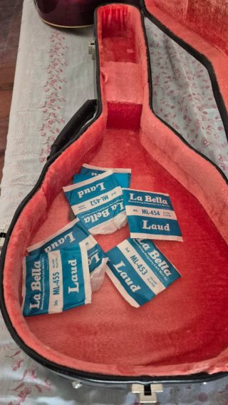 Bandurria  laúd con su funda