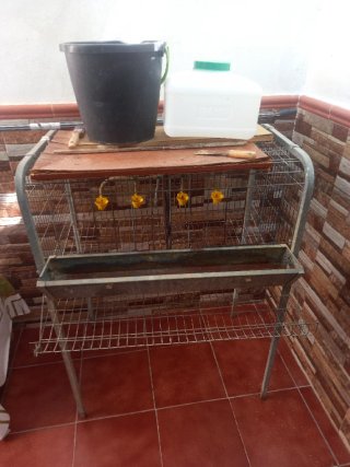 Gallinero para 4 gallinas