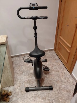 Bicicleta Estática Esbelt Plus
