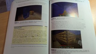 Set 2 libros minecraft