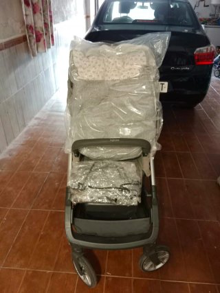 Carro Inglesina Aptica + Capazo + Maxicosi
