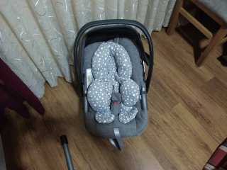 Carro Inglesina Aptica + Capazo + Maxicosi