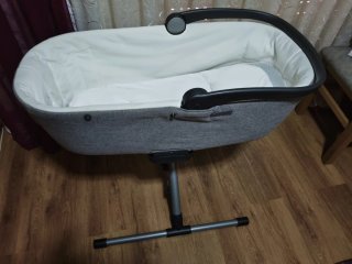 Carro Inglesina Aptica + Capazo + Maxicosi
