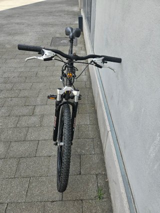 Bicicleta Di Terzo Junior 2006