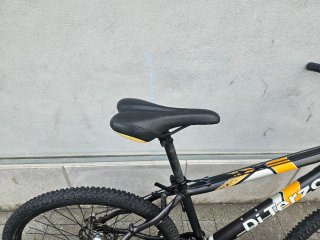Bicicleta Di Terzo Junior 2006
