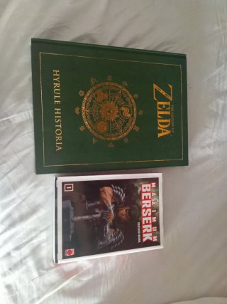 The Legend Of Zelda: Hyrule Historia Berserk