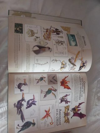 The Legend Of Zelda: Hyrule Historia Berserk