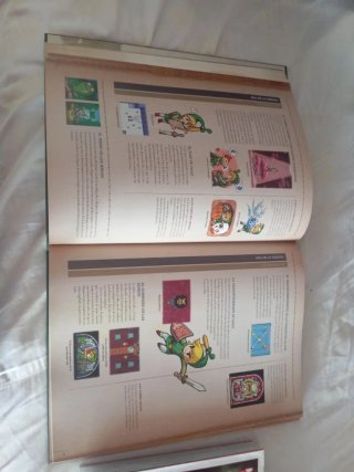 The Legend Of Zelda: Hyrule Historia Berserk