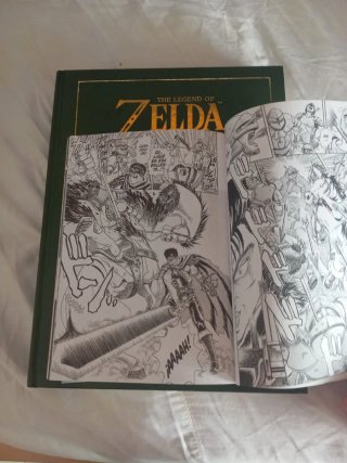 The Legend Of Zelda: Hyrule Historia Berserk