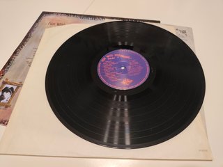 Vinilo Fun With Mushrooms (1992)
