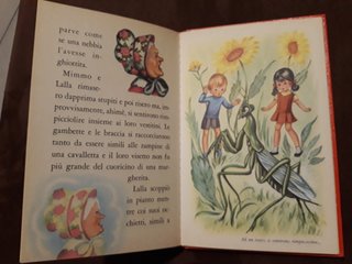 Libri antichi RICCIOLINO e UNA VECCHINA PICCINA
