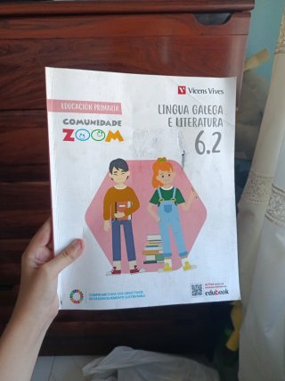 Lingua Galega e Literatura 6, Educación Primari...