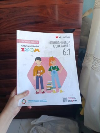 Lingua Galega e Literatura 6, Educación Primari...