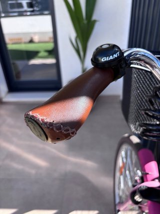 Bicicleta Paseo Rosa