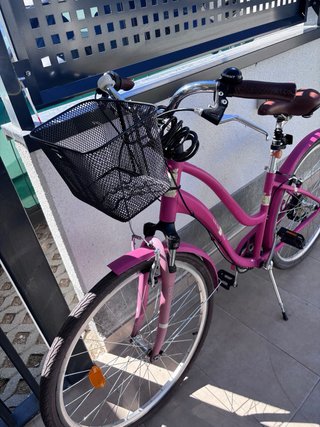 Bicicleta Paseo Rosa