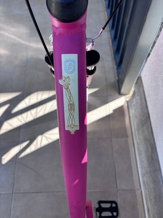 Bicicleta Paseo Rosa