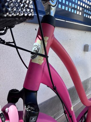 Bicicleta Paseo Rosa