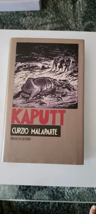 Coleccion Los desastres de la guerra