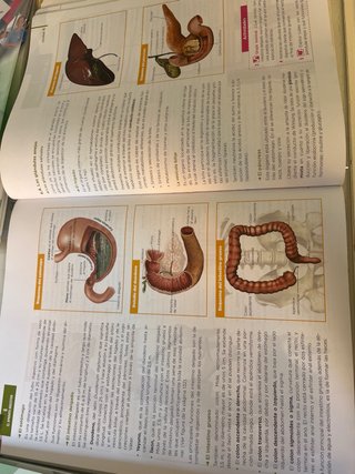 Anatomía aplicada, 1 Bachillerato