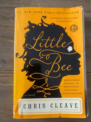 Little Bee A Novel