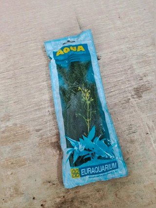 Pianta artificiale Acquario Verde decorazione